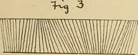 Picture 41 of 57 from A cotton fabrics glossary; containing instructions for the manufacture of every known grade and variety of cotton fabrics .. (1907), leaf 228