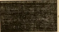 An illustration from A cotton fabrics glossary; containing instructions for the manufacture of every known grade and variety of cotton fabrics .. (1907)