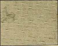 Picture 47 of 57 from A cotton fabrics glossary; containing instructions for the manufacture of every known grade and variety of cotton fabrics .. (1907), leaf 261