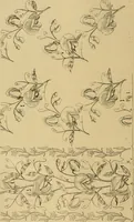 An illustration from A cotton fabrics glossary; containing instructions for the manufacture of every known grade and variety of cotton fabrics .. (1907)