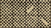 An illustration from A cotton fabrics glossary; containing instructions for the manufacture of every known grade and variety of cotton fabrics .. (1907)