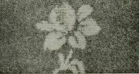 An illustration from A cotton fabrics glossary (1914)