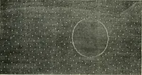 An illustration from A cotton fabrics glossary (1914)