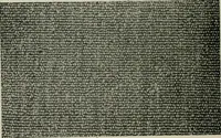 An illustration from A cotton fabrics glossary (1914)