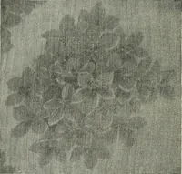 Picture 47 of 113 from A cotton fabrics glossary (1914), leaf 303