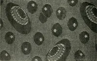 An illustration from A cotton fabrics glossary (1914)