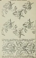 An illustration from A cotton fabrics glossary (1914)