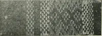 An illustration from A cotton fabrics glossary (1914)