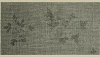 Picture 9 of 113 from A cotton fabrics glossary (1914), leaf 38