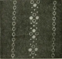 An illustration from A cotton fabrics glossary (1914)