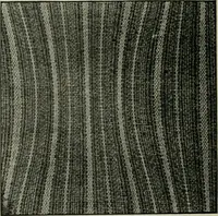 An illustration from A cotton fabrics glossary (1914)