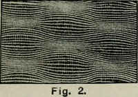An illustration from A cotton fabrics glossary (1914)