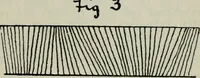 An illustration from A cotton fabrics glossary (1914)