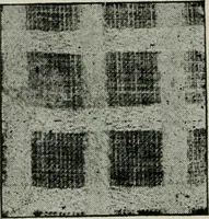 An illustration from A cotton fabrics glossary (1914)
