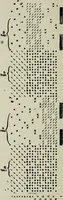 An illustration from A cotton fabrics glossary (1914)