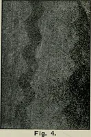 An illustration from A cotton fabrics glossary (1914)