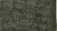 An illustration from A cotton fabrics glossary (1914)