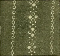 An illustration from A cotton fabrics glossary; containing instructions for the manufacture of every known grade and variety of cotton fabrics .. (1907)