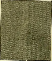 An illustration from A cotton fabrics glossary; containing instructions for the manufacture of every known grade and variety of cotton fabrics .. (1907)