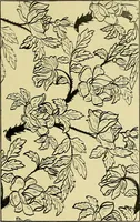 An illustration from A cotton fabrics glossary; containing instructions for the manufacture of every known grade and variety of cotton fabrics .. (1907)