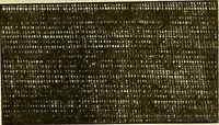 An illustration from A cotton fabrics glossary; containing instructions for the manufacture of every known grade and variety of cotton fabrics .. (1907)