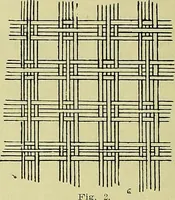 An illustration from A cotton fabrics glossary; containing instructions for the manufacture of every known grade and variety of cotton fabrics .. (1907)