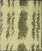 An illustration from A cotton fabrics glossary; containing instructions for the manufacture of every known grade and variety of cotton fabrics .. (1907)