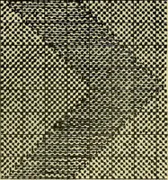 An illustration from A cotton fabrics glossary; containing instructions for the manufacture of every known grade and variety of cotton fabrics .. (1907)