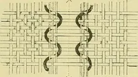 An illustration from A cotton fabrics glossary; containing instructions for the manufacture of every known grade and variety of cotton fabrics .. (1907)