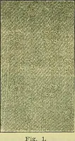 An illustration from A cotton fabrics glossary; containing instructions for the manufacture of every known grade and variety of cotton fabrics .. (1907)