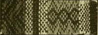 An illustration from A cotton fabrics glossary; containing instructions for the manufacture of every known grade and variety of cotton fabrics .. (1907)