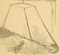 An illustration from Cotton from seed to loom (1878)