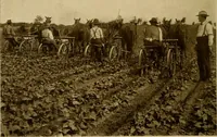 An illustration from Cotton, its cultivation, marketing, manufacture, and the problems of the cotton world (1906)