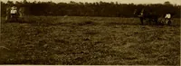 An illustration from Cotton, its cultivation, marketing, manufacture, and the problems of the cotton world (1906)