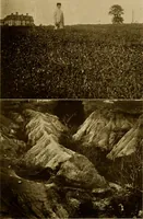An illustration from Cotton, its cultivation, marketing, manufacture, and the problems of the cotton world (1906)