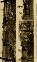 An illustration from Cotton, its cultivation, marketing, manufacture, and the problems of the cotton world (1906)