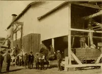 An illustration from Cotton, its cultivation, marketing, manufacture, and the problems of the cotton world (1906)