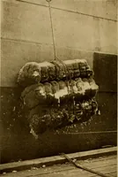 An illustration from Cotton, its cultivation, marketing, manufacture, and the problems of the cotton world (1906)