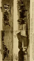 An illustration from Cotton, its cultivation, marketing, manufacture, and the problems of the cotton world (1906)