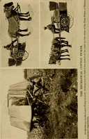 An illustration from Cotton, its cultivation, marketing, manufacture, and the problems of the cotton world (1906)