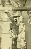 An illustration from A cotton manual for manufacturers and students (1905)