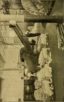 An illustration from A cotton manual for manufacturers and students (1905)