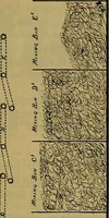 An illustration from A cotton manual for manufacturers and students (1905)