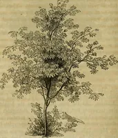 An illustration from History of the cotton manufacture in Great Britain : with a notice of its early history in the East, and in all the quarters of the globe : a description of the great mechanical inventions, which have caused its unexampled extension in Britain, and a view of the present state of the manufacture and the condition of the classes engaged in its several departments (1835)