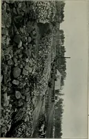 An illustration from Cotton mill, commercial features. A text-book for the use of textile schools and investors (1899)