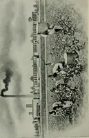 An illustration from Cotton mill, commercial features. A text-book for the use of textile schools and investors (1899)