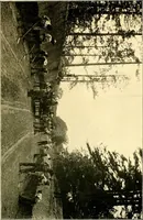 An illustration from Cotton mill, commercial features : a text-book for the use of textile schools and investors (1899)