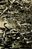 An illustration from Cotton mill, commercial features : a text-book for the use of textile schools and investors (1899)