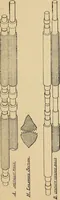 An illustration from Cotton mill processes and calculations. An elementary text book for the use of textile schools and for home study .. (1902)