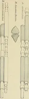 An illustration from Cotton mill processes and calculations. An elementary text book for the use of textile schools and for home study (1899)